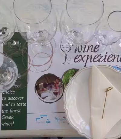 EXECUTIVE-WINE-TASTING-MYKONOS-MYKONIAN-SPITIjpg.jpeg