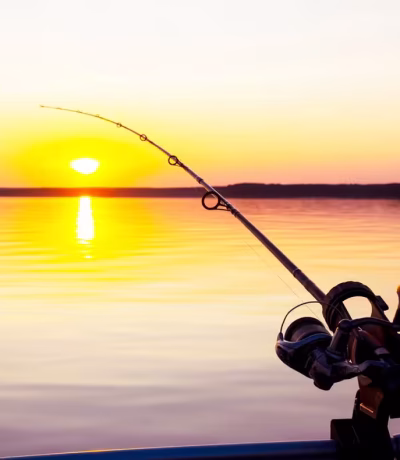 Nature – Sunset