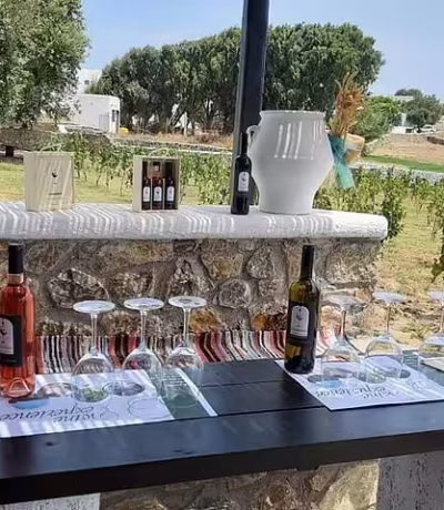 Wine Tasting Mykonian Farm